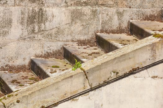 Old brown steps, Germany