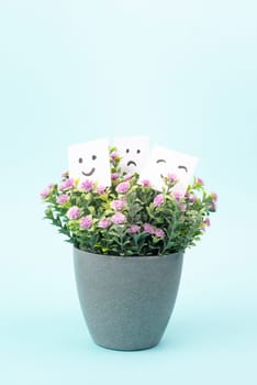 Happy smiling face, sad faces, growing from flower pot, mental health, positive and negative mind, influence emotion, support and depression