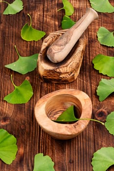 A cup of herbal tea, green Ginkgo biloba leaves. Top view.
