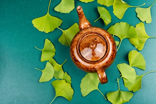 A cup of herbal tea, green Ginkgo biloba leaves. Top view.