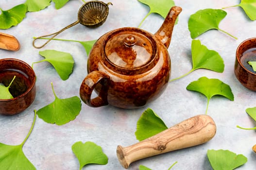 Ginkgo tee with freshen leaf.