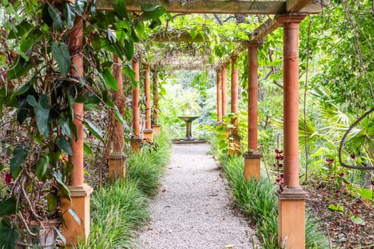 Romantic garden walkway forming a green tunnel, springtime