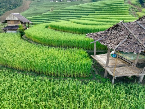 Landscape of green rice terraces and traditional huts in a village near Chiangmai, Thailand. Travel destinations. Beauty of terraced rice fields. Rural life and traditional farming practices in Asia.