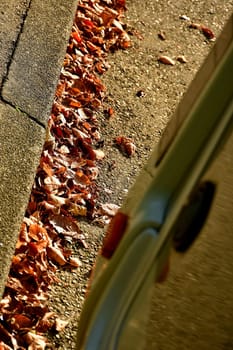 autumnal colored leaves on a street with the edge of a motor home