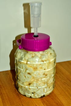 Fermentation of cauliflower in a glass with fermentation valve