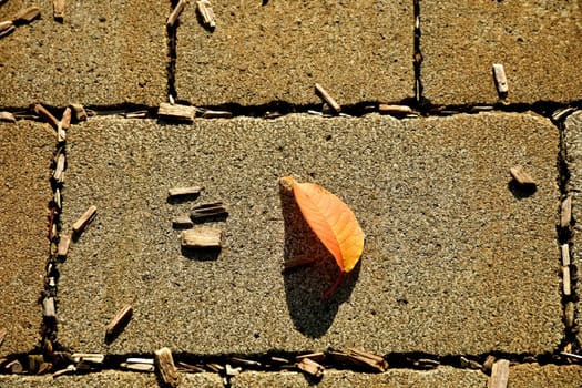 autumnal colored leaf on a street floor on a pebble stone