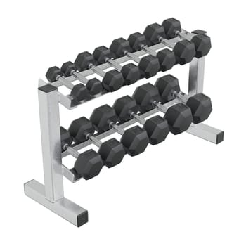 Gym Dumbbell rack, a stand for weightlifting gym equipment with different size and weight dumbbells, isolated on white background. 3D illustration