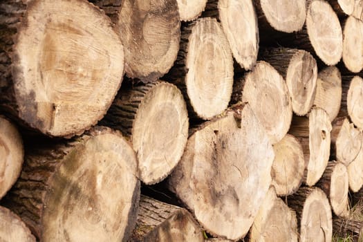 Pile of wood logs. Natural wooden background with closeup of clean cut of chopped firewood logs.