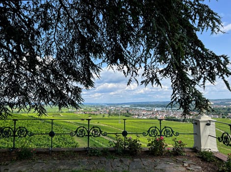 From Johannisberg Castle you have a beautiful view of the Rheingau all the way to Rhineland-Palatinate. From Johannisberg Castle you have a wonderful view of the Rheingau all the way to the Rhineland-Palatinate.