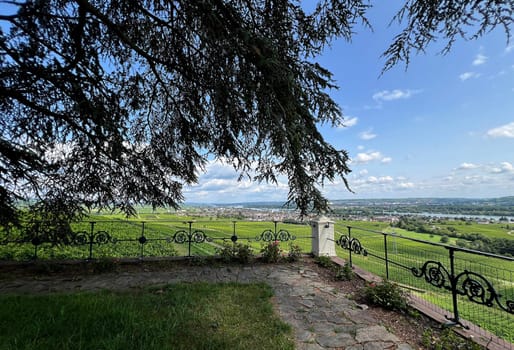 From Johannisberg Castle you have a beautiful view of the Rheingau all the way to Rhineland-Palatinate. From Johannisberg Castle you have a wonderful view of the Rheingau all the way to the Rhineland-Palatinate.