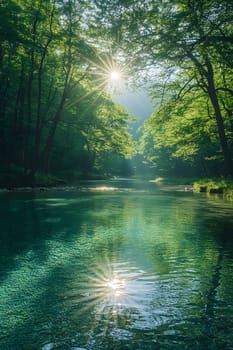 A bright and peaceful view of a lush forest with a crystal clear stream that reveals the rocks beneath. Sunlight filters through tall trees. No people. A natural scene suitable for ecotourism.