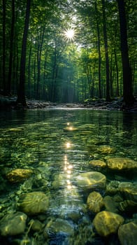 A bright and peaceful view of a lush forest with a crystal clear stream that reveals the rocks beneath. Sunlight filters through tall trees. No people. A natural scene suitable for ecotourism.