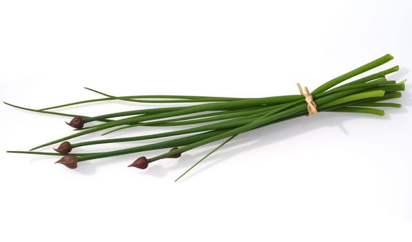Chives,Allium schoenoprasum,is an important medicinal and medicinal plant. The culinary herb is also used in the Frankfurt Green Sauce. Chives,Allium schoenoprasum,are an important medicinal and medicinal plant. The herb is also used in the Frankfurt green sauce.