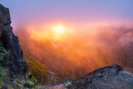 Mountains on sunset covered in fog and clouds with blooming Cytisus shrubs. Near Pico de Arieiro , Madeira island, Portugal