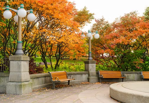 Serene park scene in autumn with benches. Round street lamps with vibrant trees with orange and red leaves.