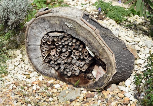 Insect hotels serve as shelter and breeding grounds for insects,especially wild bees. Insect hotels serve insects,especially wild bees,as a shelter and breeding ground.