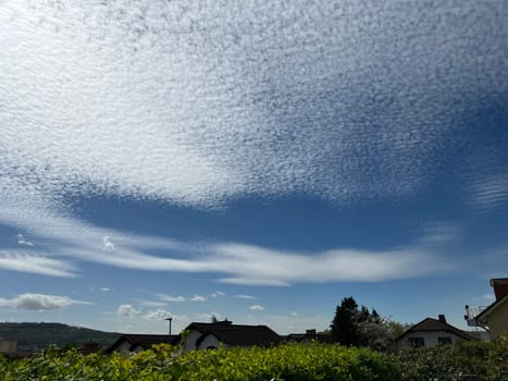 Fleecy clouds,Cirrocumulus undulatus,herald rain
