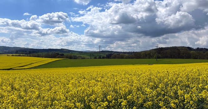 Stratocumulus,stratocumuli,commonly known as stratocumuli,are cluster layer clouds without fibers and form similar to cumulus clouds. A nice contrast to the rapeseed field. Stratocumulus,stratocumuli,commonly known as stratocumuli,are cumulus clouds without fibers and are formed in a similar way to cumulus clouds. A nice contrast to the rapeseed field