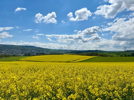Stratocumulus,stratocumuli,commonly known as stratocumuli,are cluster layer clouds without fibers and form similar to cumulus clouds. A nice contrast to the rapeseed field. Stratocumulus,stratocumuli,commonly known as stratocumuli,are cumulus clouds without fibers and are formed in a similar way to cumulus clouds. A nice contrast to the rapeseed field