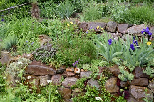 Dry stone walls in the garden are well suited for many herbs and at the same time a biotope for many animals. Dry stone walls in the garden are well suited for many herbs and at the same time a biotope for many animals.
