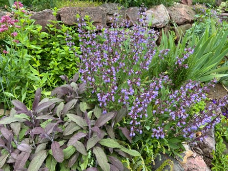 Dry stone walls in the garden are well suited for many herbs and at the same time a biotope for many animals. Dry stone walls in the garden are well suited for many herbs and at the same time a biotope for many animals.