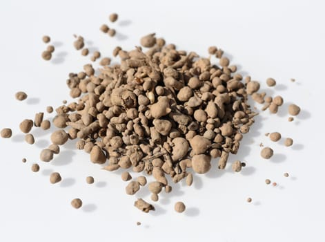 Seeds in the clay coat protect the seed from bird damage and no training is necessary. Seeds in the clay coat protect the seed from bird damage and no training is necessary.