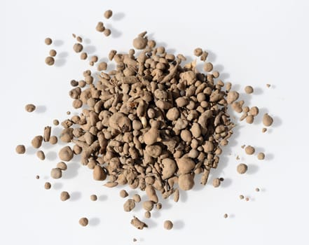 Seeds in the clay coat protect the seed from bird damage and no training is necessary. Seeds in the clay coat protect the seed from bird damage and no training is necessary.