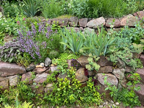 Dry stone walls in the garden are well suited for many herbs and at the same time a biotope for many animals. Dry stone walls in the garden are well suited for many herbs and at the same time a biotope for many animals.