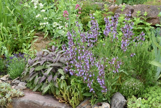 Dry stone walls in the garden are well suited for many herbs and at the same time a biotope for many animals. Dry stone walls in the garden are well suited for many herbs and at the same time a biotope for many animals.