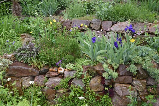 Dry stone walls in the garden are well suited for many herbs and at the same time a biotope for many animals. Dry stone walls in the garden are well suited for many herbs and at the same time a biotope for many animals.