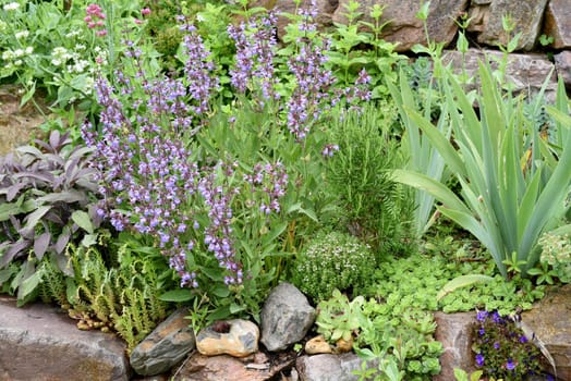 Dry stone walls in the garden are well suited for many herbs and at the same time a biotope for many animals. Dry stone walls in the garden are well suited for many herbs and at the same time a biotope for many animals.