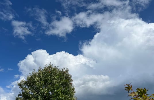 Stratocumulus,stratocumuli,commonly known as stratocumuli,are cluster layer clouds without fibers and form similar to cumulus clouds. Stratocumulus,stratocumuli,commonly known as stratocumuli,are cumulus clouds without fibers and are formed in a similar way to cumulus clouds.
