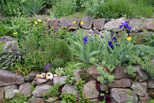 Dry stone walls in the garden are well suited for many herbs and at the same time a biotope for many animals. Dry stone walls in the garden are well suited for many herbs and at the same time a biotope for many animals.