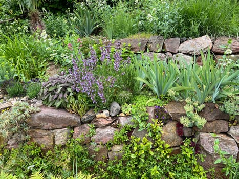 Dry stone walls in the garden are well suited for many herbs and at the same time a biotope for many animals. Dry stone walls in the garden are well suited for many herbs and at the same time a biotope for many animals.