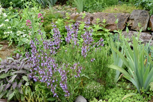 Dry stone walls in the garden are well suited for many herbs and at the same time a biotope for many animals. Dry stone walls in the garden are well suited for many herbs and at the same time a biotope for many animals.