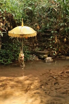 Small golden umbrella in the pond at the Pha Lat Temple. close to the Monks Trail up to the Doi Suthep Temple, Chiang Mai, Thailand 2023