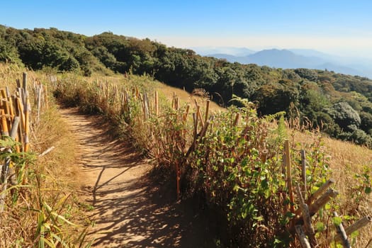 Beautiful view onto the Kew Mae Pan Nature Trail and the surrounding landscape in the Doi Inthanon National Park, close to Chiang Mai, Thailand 2023