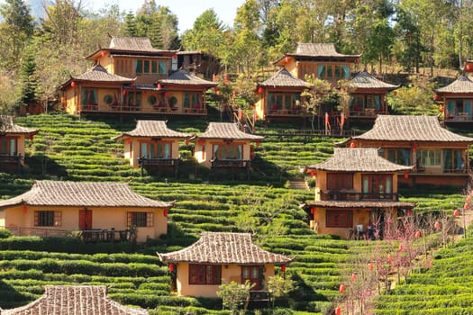 View onto traditional chinese houses within a tea plantation in the village of Ban Rak Thai, Mae Aw, close to the border to Myanmar, Mae Hong Son Loop, Thailand 2023
