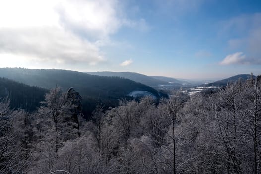 View of a landscape with snow and forest