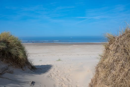 View over the dunes with beach grass towards the sea, on the North Sea coast in the Netherlands with a blue sky