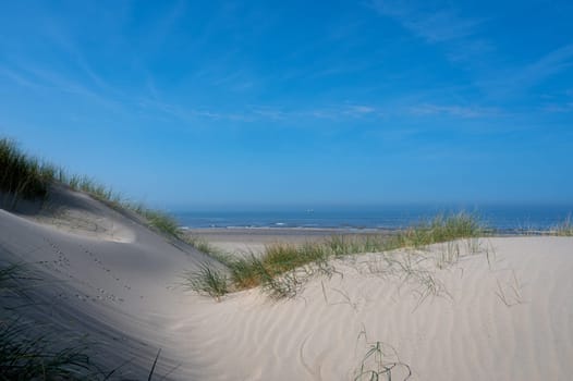 View over the dunes with beach grass towards the sea, on the North Sea coast in the Netherlands with a blue sky
