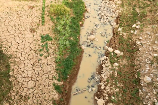 View onto an almost dried out riverbed, a small muddy stream of water next to fresh green grass, plants, herbs and dried out soil with big cracks in it, Wiang Chiang Kong, Thailand 2023