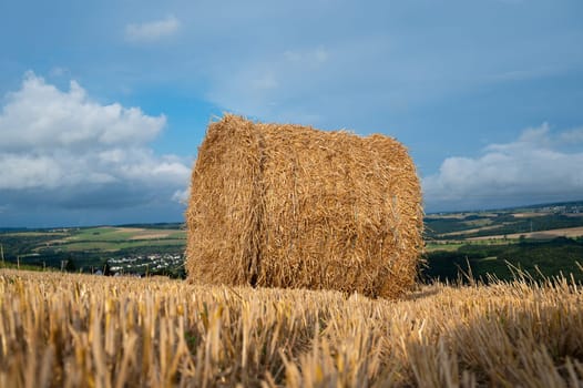 Straw bale on the field, cultivated barley, harvest in the summer, agriculture for food, farmland on the countryside