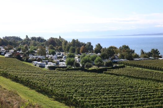 Autumn atmosphere on Lake Constance,view from Hagnau over the vineyards/vineyards to Lake Constance