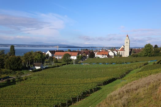 Autumn atmosphere on Lake Constance,view of Hagnau over the vineyards/vineyards to Lake Constance