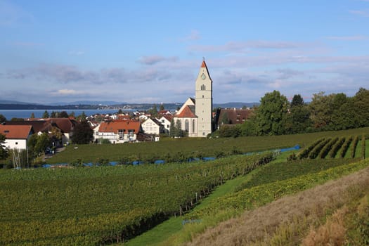 Autumn atmosphere on Lake Constance,view of Hagnau over the vineyards/vineyards to Lake Constance