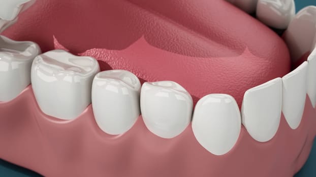 Detailed 3D illustration of a model jaw with complete set of teeth. 3D illustration.
