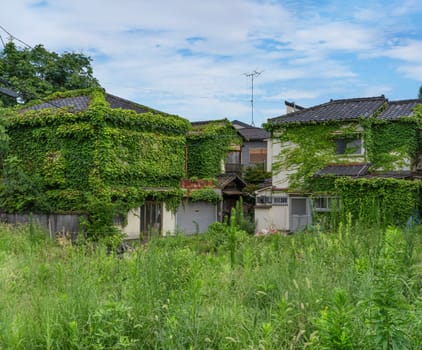 Overgrown foliage and grasses engulfs vacant Japanese homes in north Tokyo Komagome, a stark symbol of Akiya, reflecting the aging population’s impact on urban and rural housing, captured in summer.