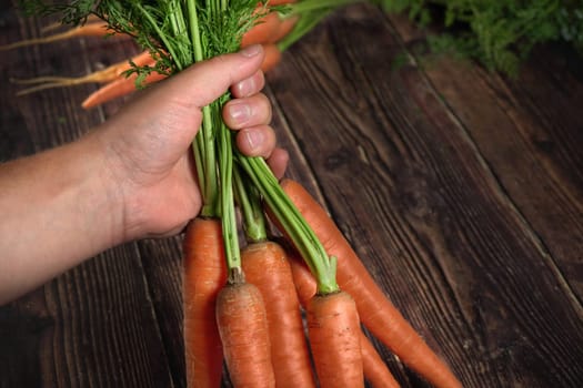 Hand holding bunch of fresh carrots with green leaves over dark wooden board