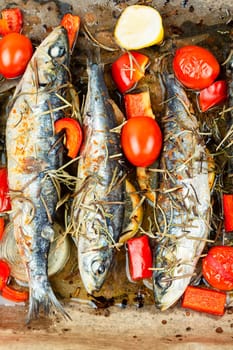 Baked sardine fish with lemon, cherry tomatoes and rosemary on ceramic plate on rustic wooden table. Healthy and tasty dinner. Copy space.